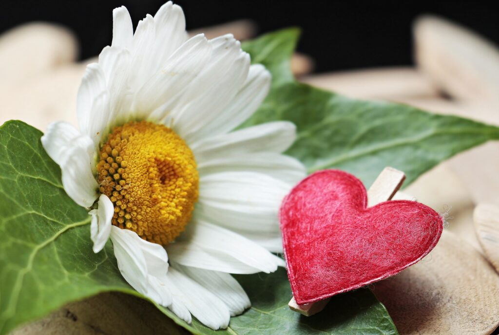Blumen Muttertag
